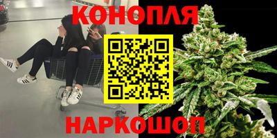 PSILOCYBIN Малгобек