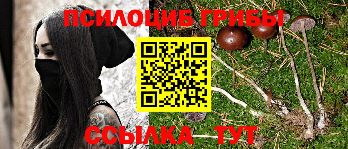 Галлюциногенные грибы Cubensis Юрга