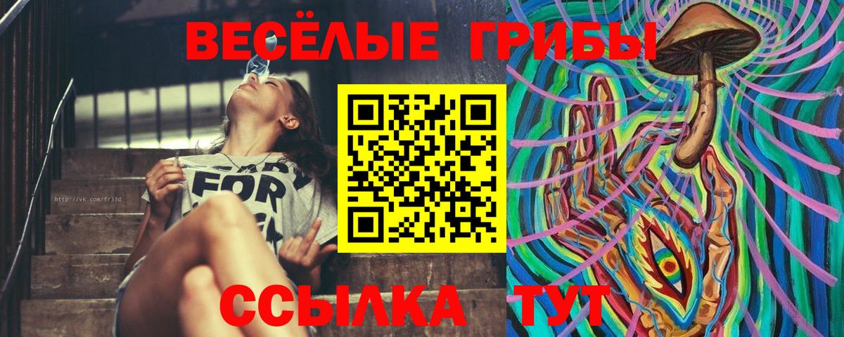 Галлюциногенные грибы мухоморы  Псилоцибиновые грибы прущие грибы  Юрга  Вход с VPN 