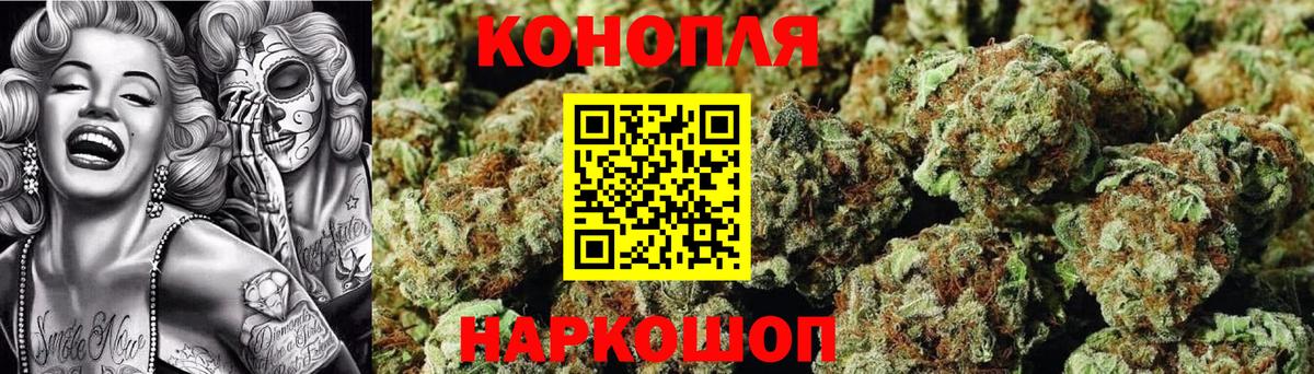 Конопля гибрид Юрга